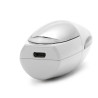 Lifetrons Switzerland 2-in-1 Ionic Nano Mist Sprayer & Massager | On-the-Go Hydration & Skincare Infuser